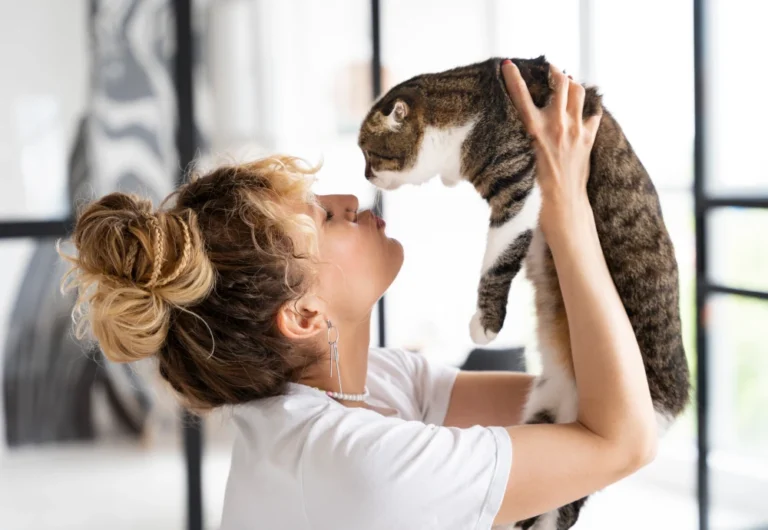 best pet watching camera